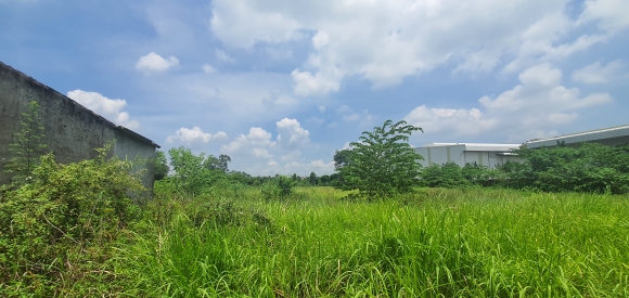 Chuyển nhượng đất nhà xưởng tại QL 39A, Thị trấn Lương Bằng, Huyện Kim Động, Tỉnh Hưng Yên